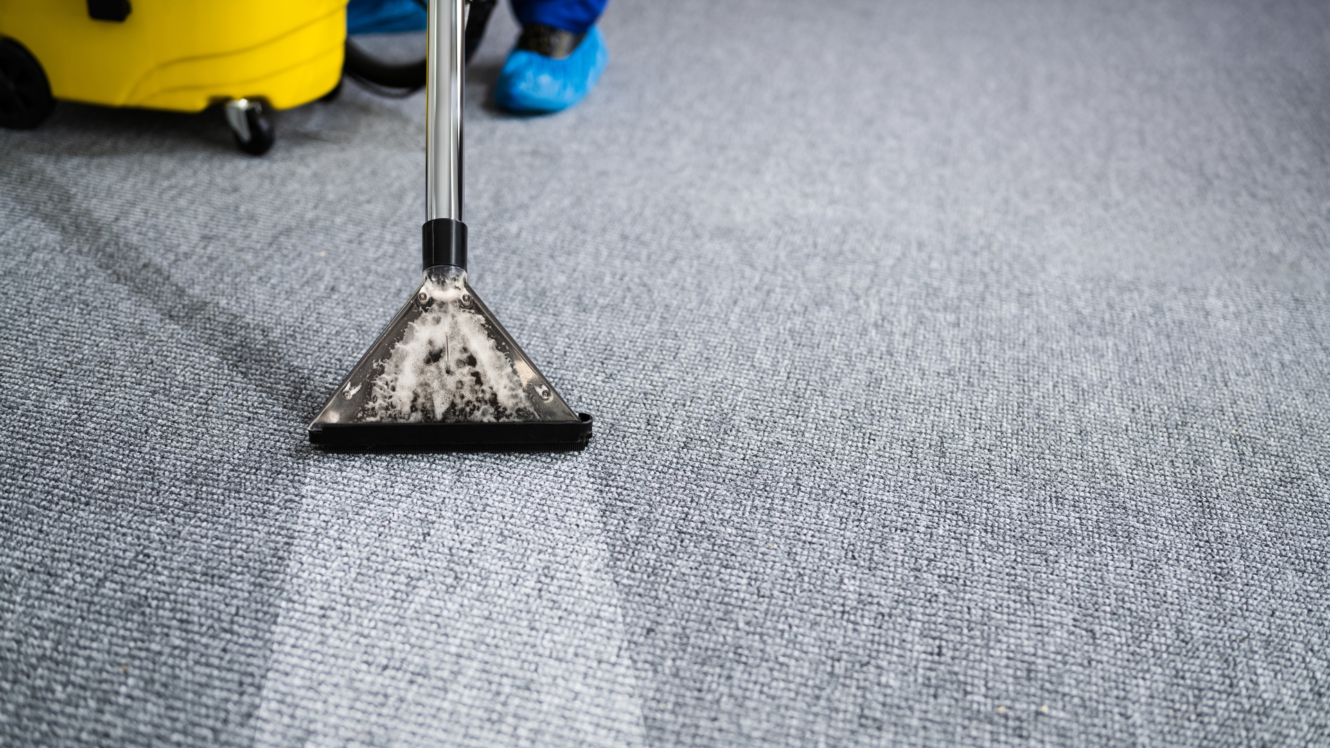 A bright and clean living room with a freshly vacuumed carpet.